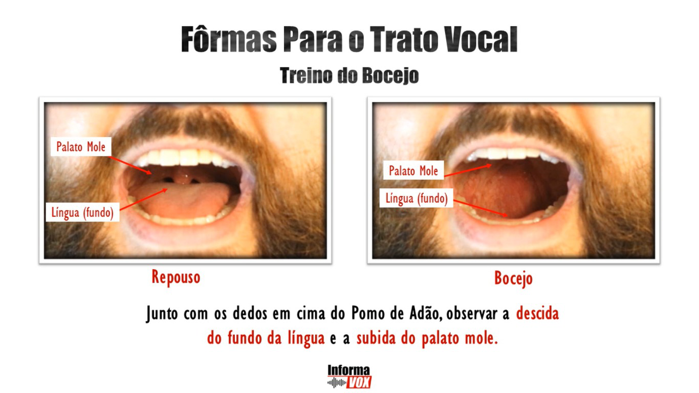 Material Altamente Visual